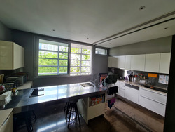 Nassim Park Residences (D10), Condominium #439438231